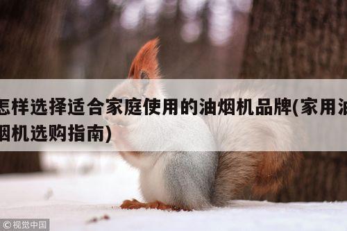 怎样选择适合家庭使用的油烟机品牌(家用油烟机选购指南)