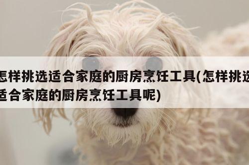 怎样挑选适合家庭的厨房烹饪工具(怎样挑选适合家庭的厨房烹饪工具呢)