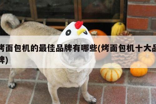 烤面包机的最佳品牌有哪些(烤面包机十大品牌)