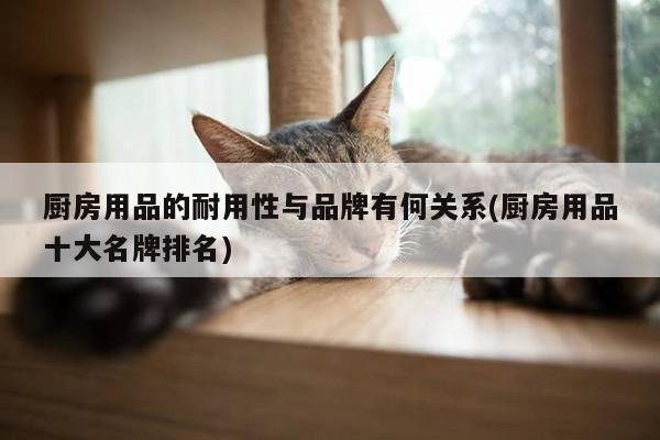 厨房用品的耐用性与品牌有何关系(厨房用品十大名牌排名)