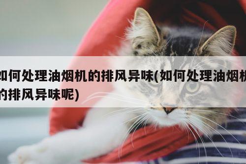 如何处理油烟机的排风异味(如何处理油烟机的排风异味呢)