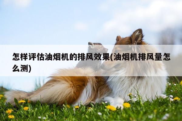 怎样评估油烟机的排风效果(油烟机排风量怎么测)