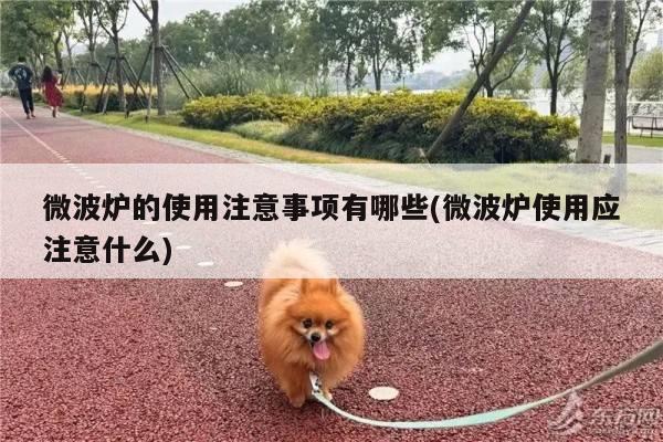 微波炉的使用注意事项有哪些(微波炉使用应注意什么)-爱游戏app