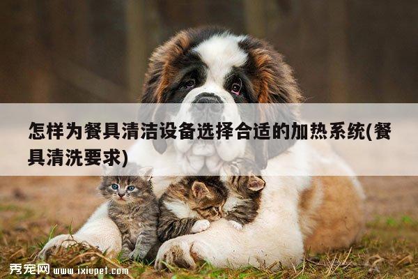 怎样为餐具清洁设备选择合适的加热系统(餐具清洗要求)