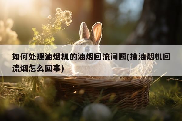 如何处理油烟机的油烟回流问题(抽油烟机回流烟怎么回事)