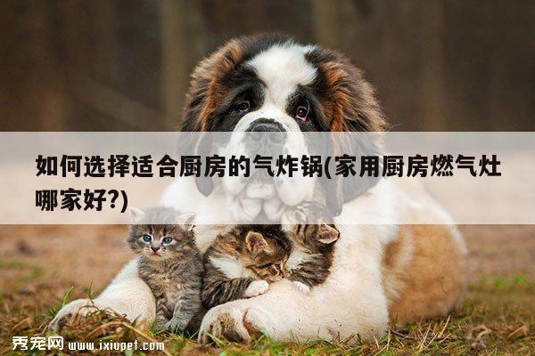 如何选择适合厨房的气炸锅(家用厨房燃气灶哪家好?)