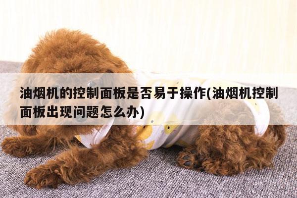 爱游戏app：油烟机的控制面板是否易于操作(油烟机控制面板出现问题怎么办)