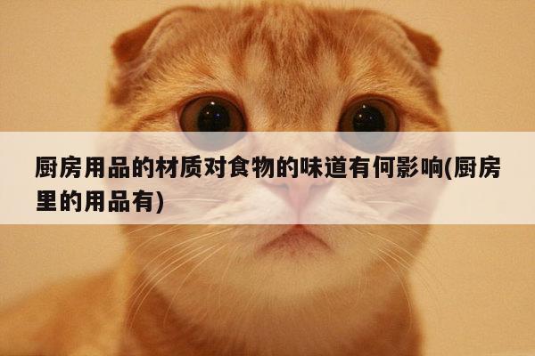 厨房用品的材质对食物的味道有何影响(厨房里的用品有)