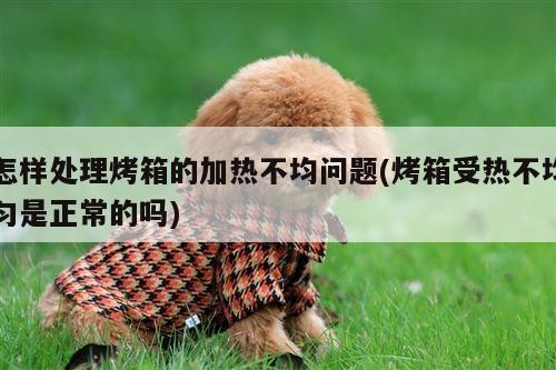 怎样处理烤箱的加热不均问题(烤箱受热不均匀是正常的吗)