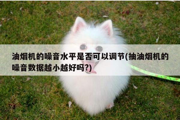 油烟机的噪音水平是否可以调节(抽油烟机的噪音数据越小越好吗?)