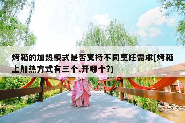 烤箱的加热模式是否支持不同烹饪需求(烤箱上加热方式有三个,开哪个?)