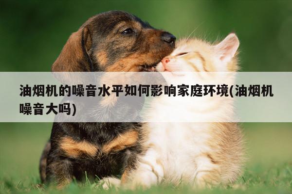 油烟机的噪音水平如何影响家庭环境(油烟机噪音大吗)