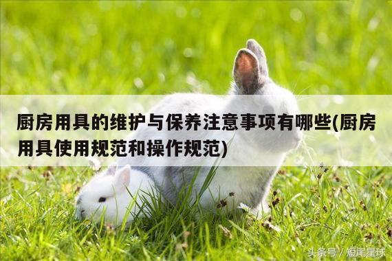 厨房用具的维护与保养注意事项有哪些(厨房用具使用规范和操作规