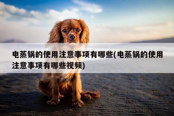 电蒸锅的使用注意事项有哪些(电蒸锅的使用注意事项有哪些视频)