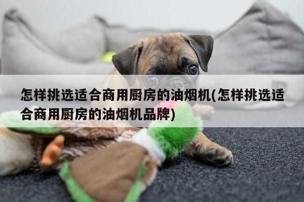 怎样挑选适合商用厨房的油烟机(怎样挑选适合商用厨房的油烟机品牌)