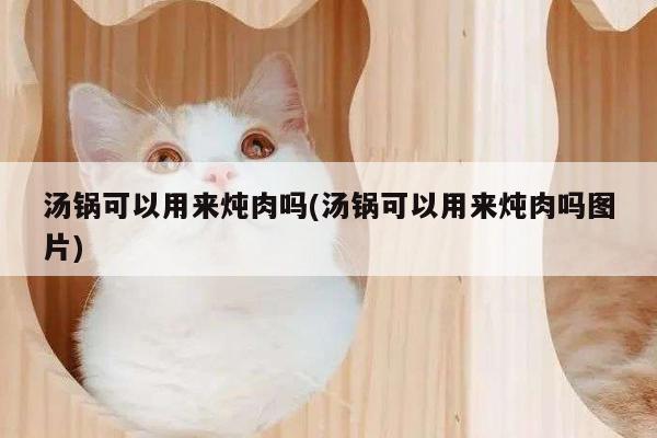 汤锅可以用来炖肉吗(汤锅可以用来炖肉吗图片)