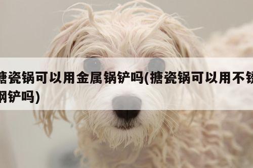 搪瓷锅可以用金属锅铲吗(搪瓷锅可以用不锈钢铲吗)