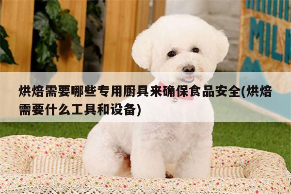 烘焙需要哪些专用厨具来确保食品安全(烘焙需要什么工具和设备)