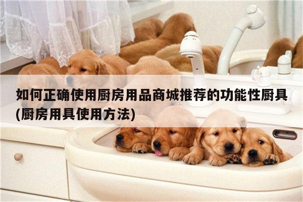 如何正确使用厨房用品商城推荐的功能性厨具(厨房用具使用方法)