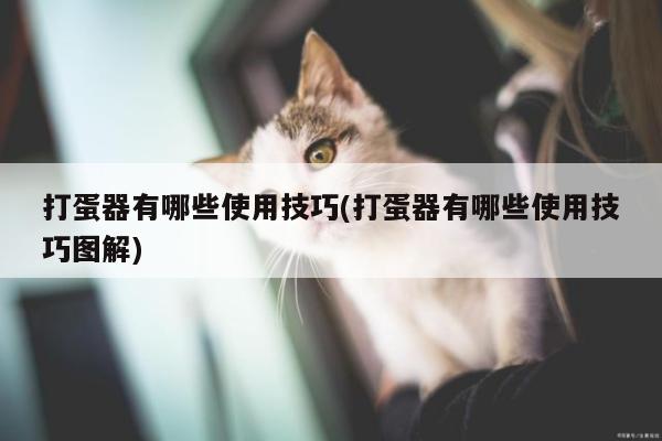 打蛋器有哪些使用技巧(打蛋器有哪些使用技巧图解)