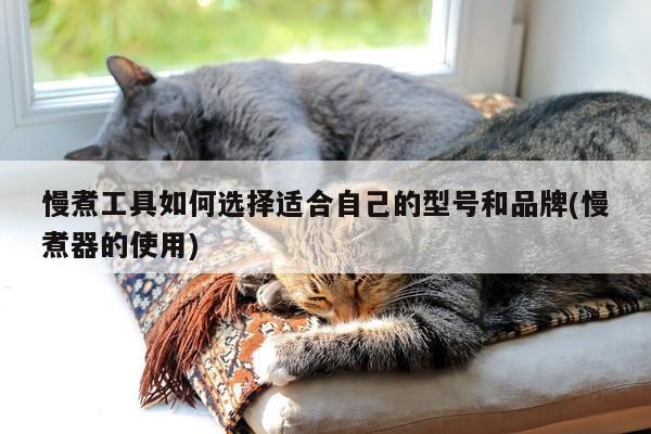 慢煮工具如何选择适合自己的型号和品牌(慢煮器的使用)