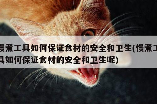慢煮工具如何保证食材的安全和卫生(慢煮工具如何保证食材的安全和卫生呢)
