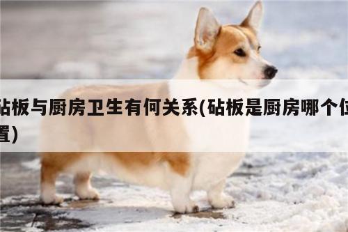 砧板与厨房卫生有何关系(砧板是厨房哪个位置)