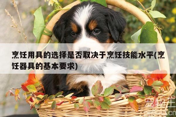 烹饪用具的选择是否取决于烹饪技能水平(烹饪器具的基本要求)