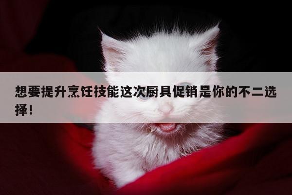 爱游戏app_想要提升烹饪技能这次厨具促销是你的不二选择！