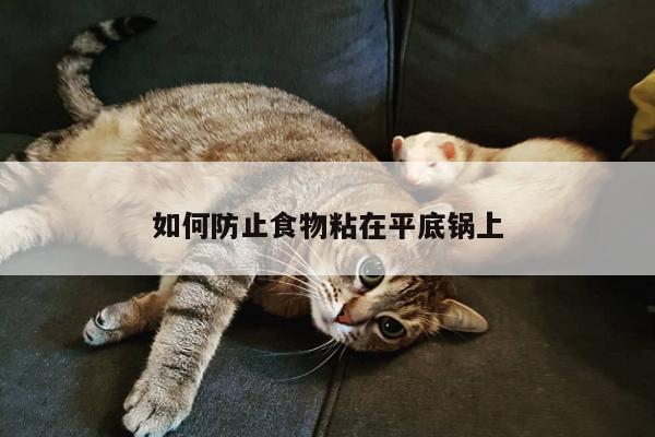 如何防止食物粘在平底锅上-ayx爱游戏